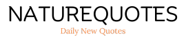 The Daily Quotes